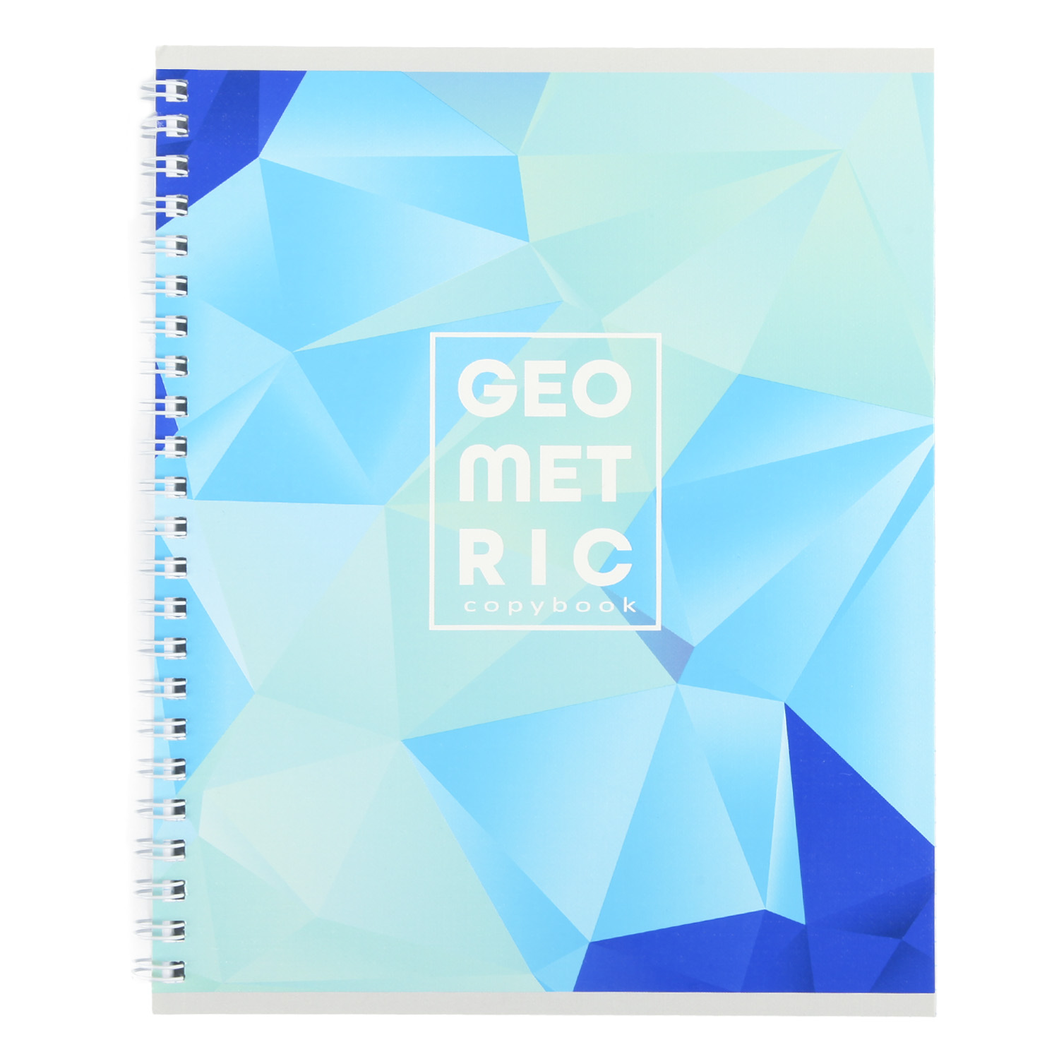 Общая тетрадь Erhaft клетка 60 лист. - фото 1