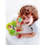 Игрушка Hape сортер