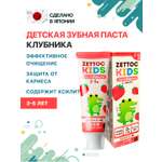 Зубная паста Nippon Zettoc