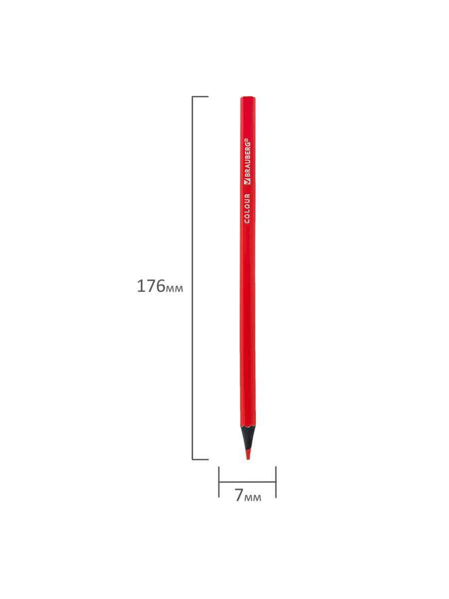 Карандаши цветные Brauberg 12 шт. - фото 11