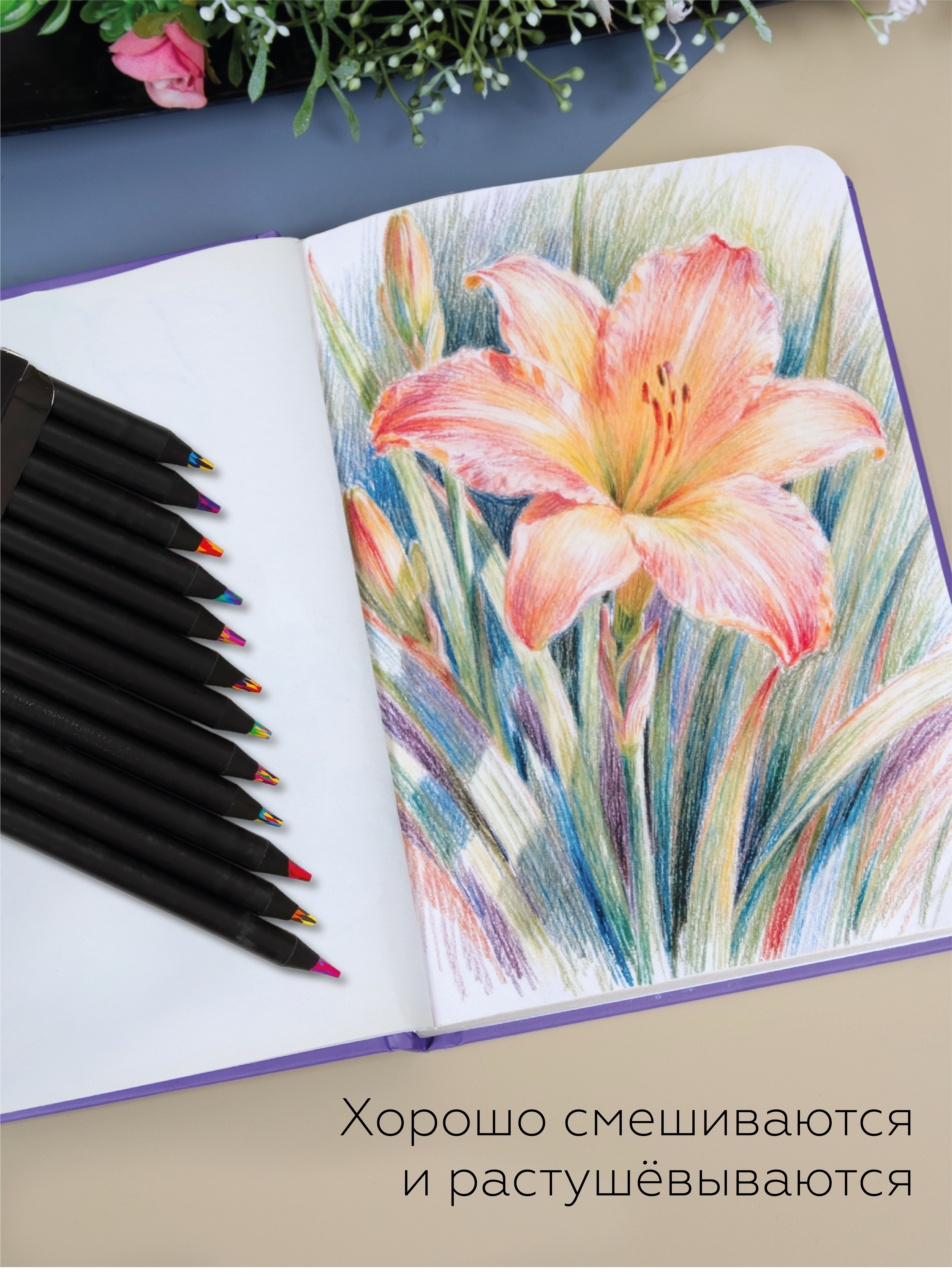 Карандаши цветные AXLER 12 шт. - фото 3