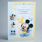 Обложка на документы Disney на свидетельство о рождении