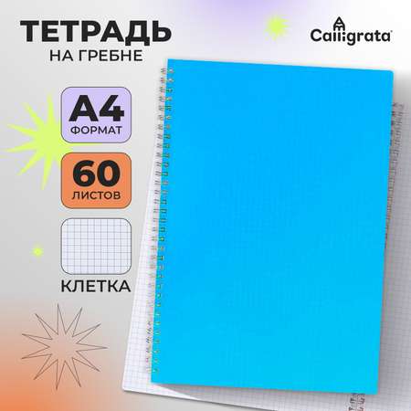 Тетрадь Calligrata клетка