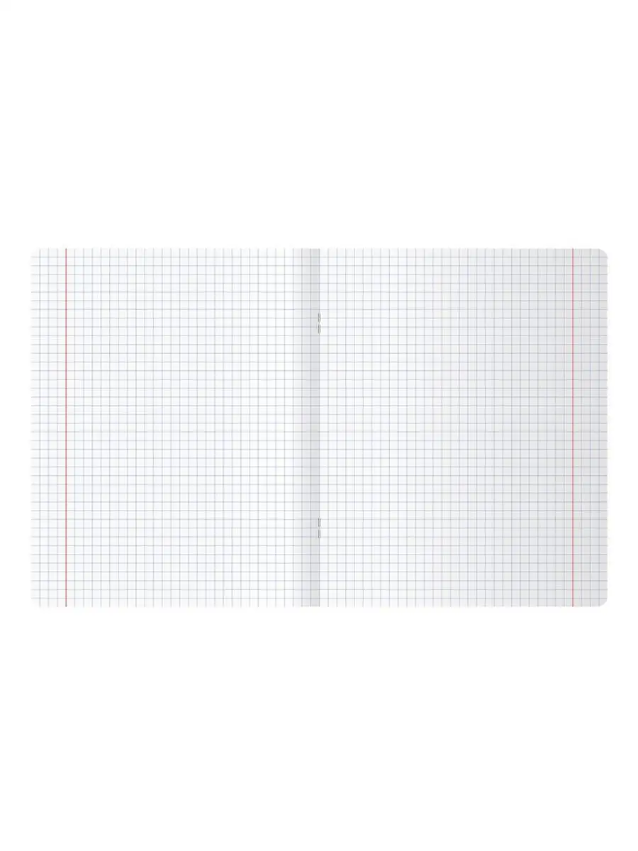 Тетрадь BG клетка 48 лист. 4 шт. - фото 8