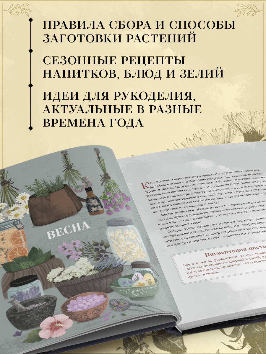 Книга Эксмо Травы. Магические запасы. Иллюстрированное руководство - фото 3