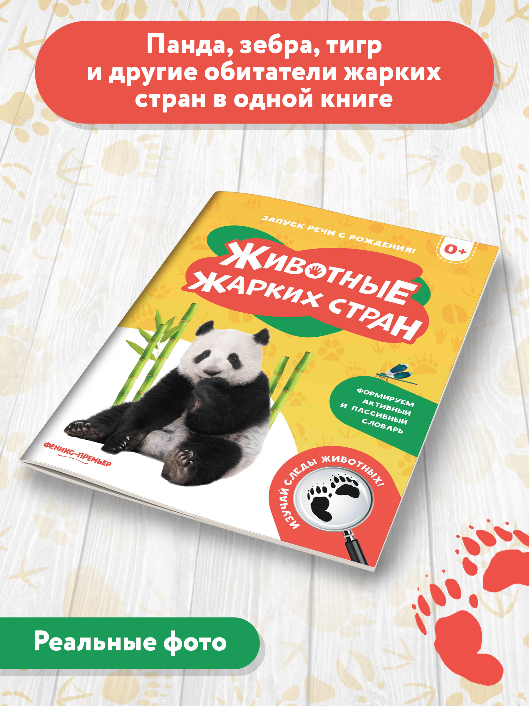 Книга Феникс Премьер Животные жарких стран. Фотоброшюра 0+ - фото 3