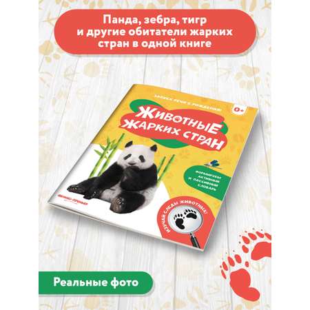 Книга Феникс Премьер Животные жарких стран. Фотоброшюра 0+