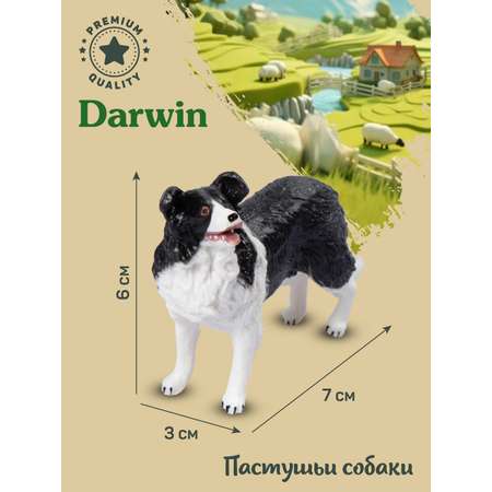 Фигурка DARWIN Собака Бордер-колли