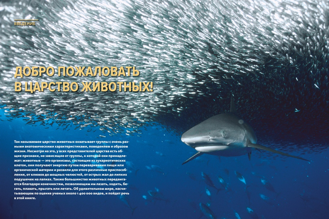Книга Махаон Бертонатти К. Перейра Х. А. Тайны животных - фото 6