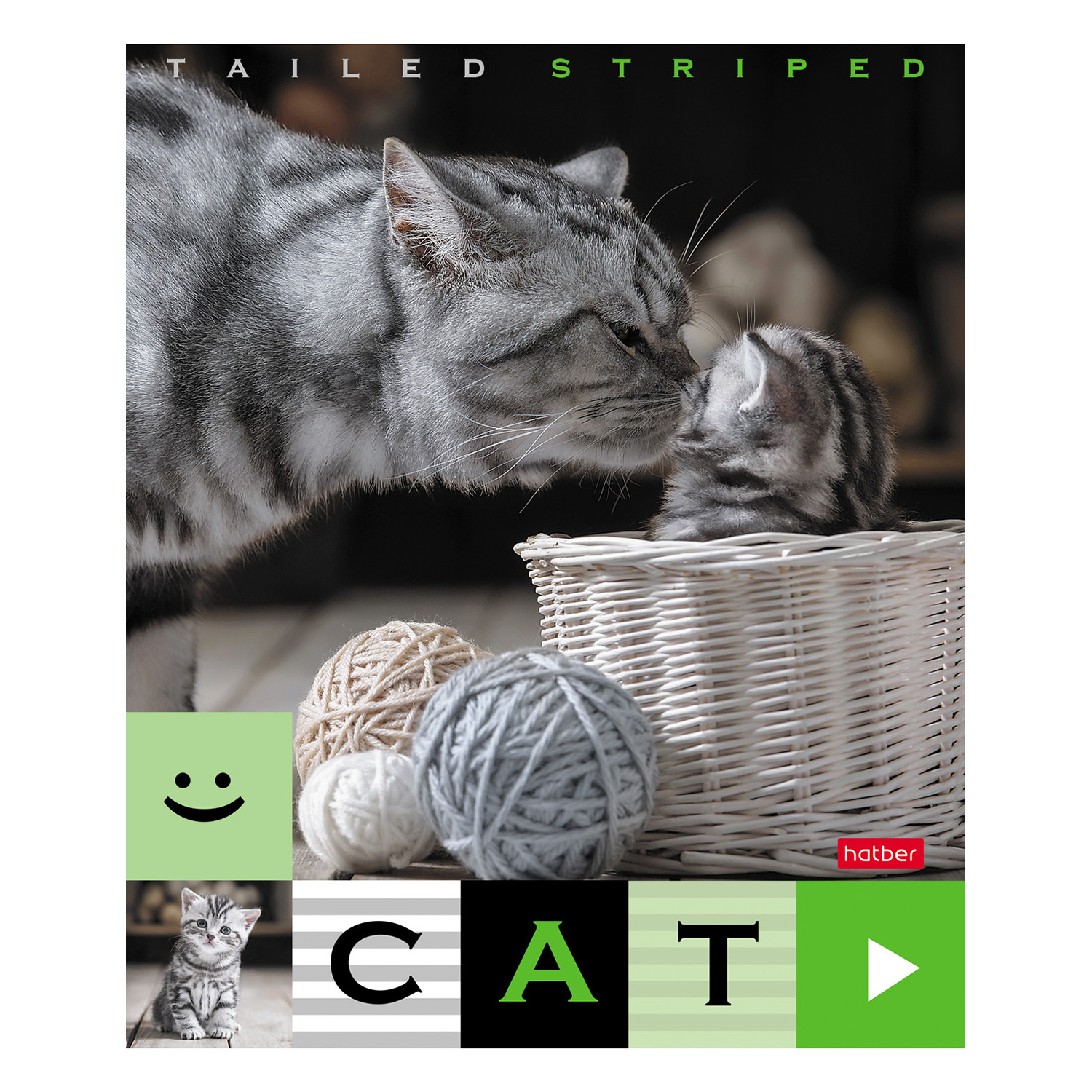 Общая тетрадь Hatber клетка 40 лист. в ассортименте - фото 4