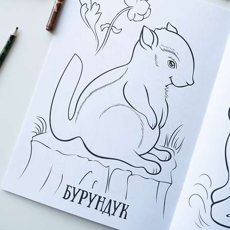 Раскраска Yulka Crafts В лесу