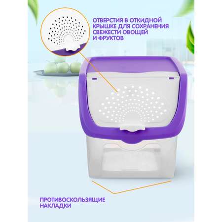 Контейнер elfplast для овощей и фруктов пластиковый 12 л фиолетовый 33х24х23.5 см