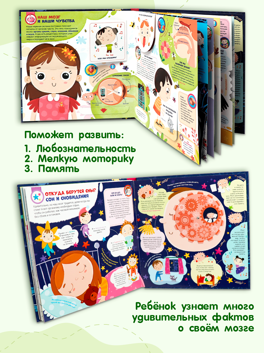 Книга Malamalama Мозг интерактивная энциклопедия - фото 3
