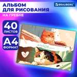 Альбом Brauberg А4 40 лист.