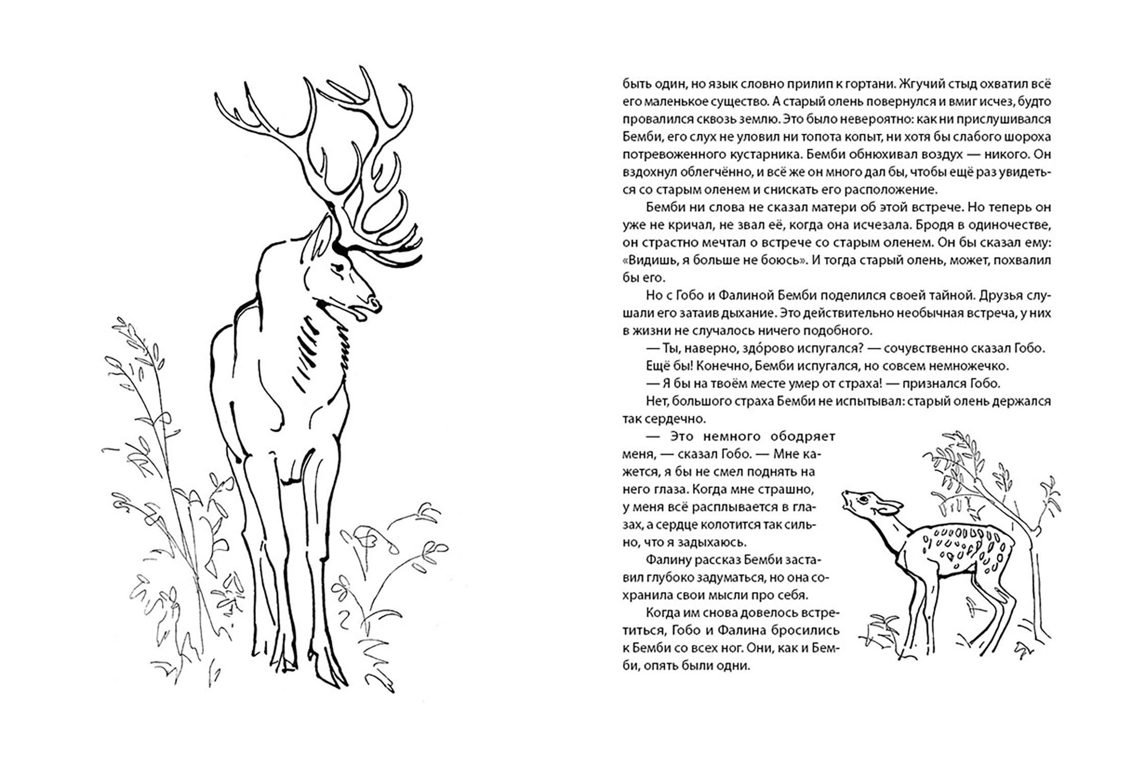 Книга Издательство Речь Бемби - фото 4