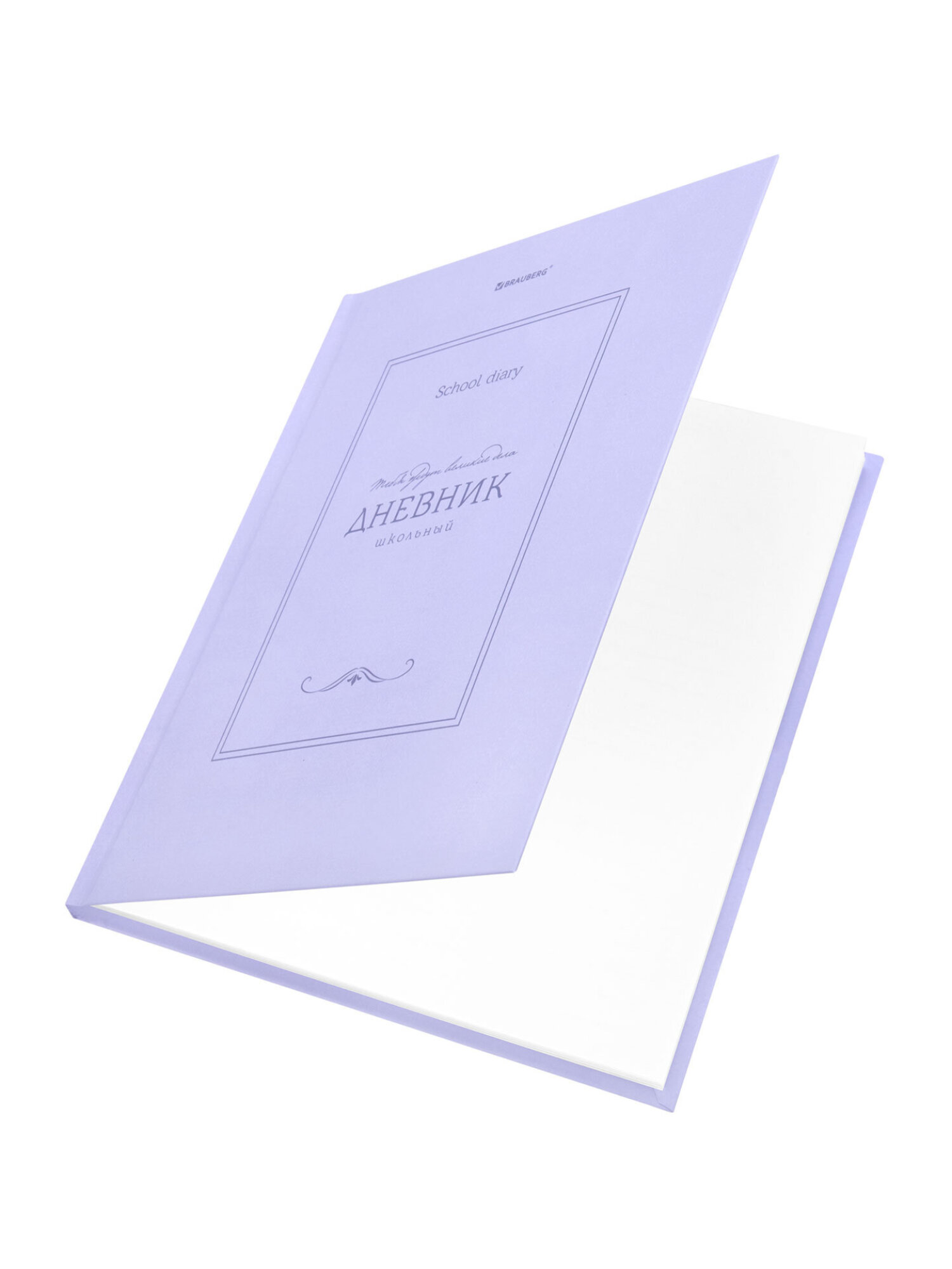 Дневник школьный Brauberg для девочек мальчика 1-11 класс твердый 40 листов - фото 3