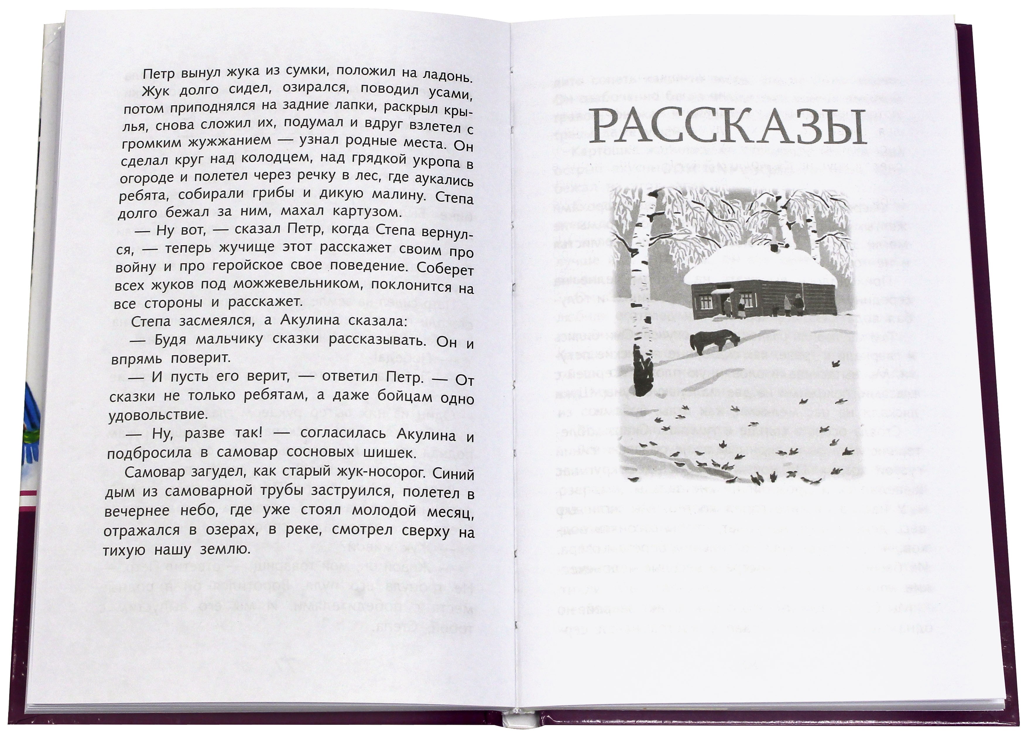 Книга Стрекозa Растрепанный воробей - фото 2