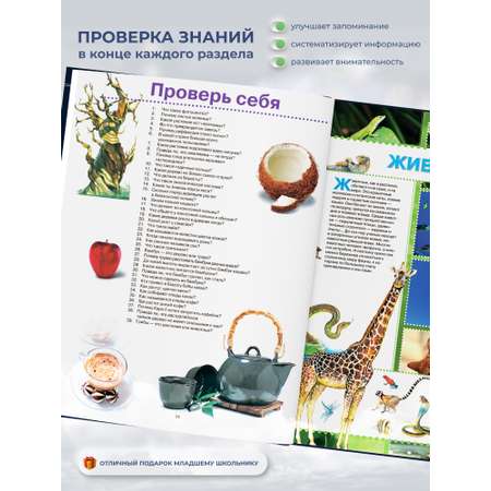Книга Харвест Книга для детей развивающая Большая энциклопедия школьника. Подарок ребенку
