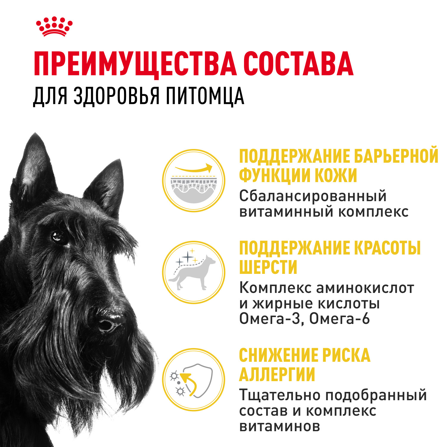 Корм для собак ROYAL CANIN Mini Dermacomfort при раздраженной и зудящей коже 3кг - фото 3
