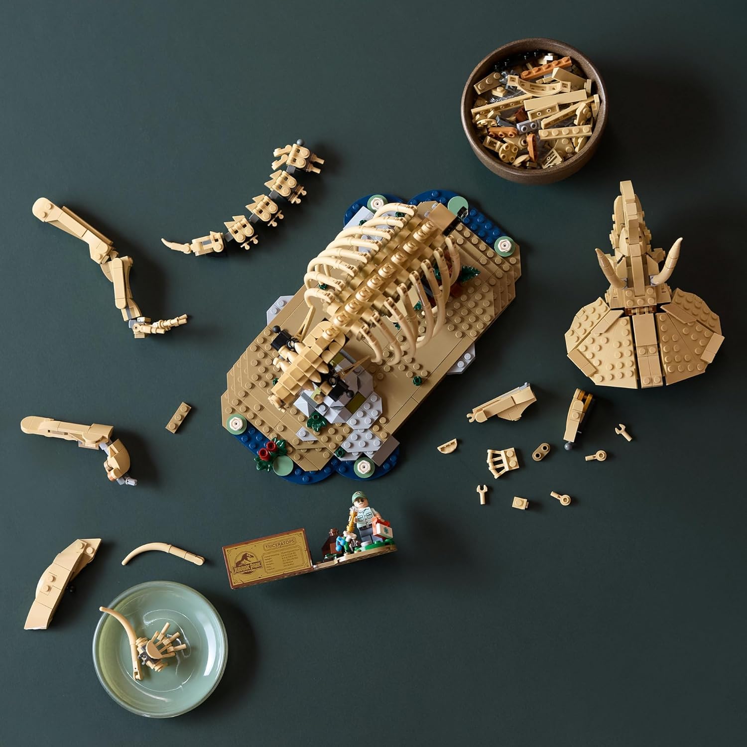 Конструктор LEGO Jurassic World Скелет Трицератопса 1154 дет. - фото 10