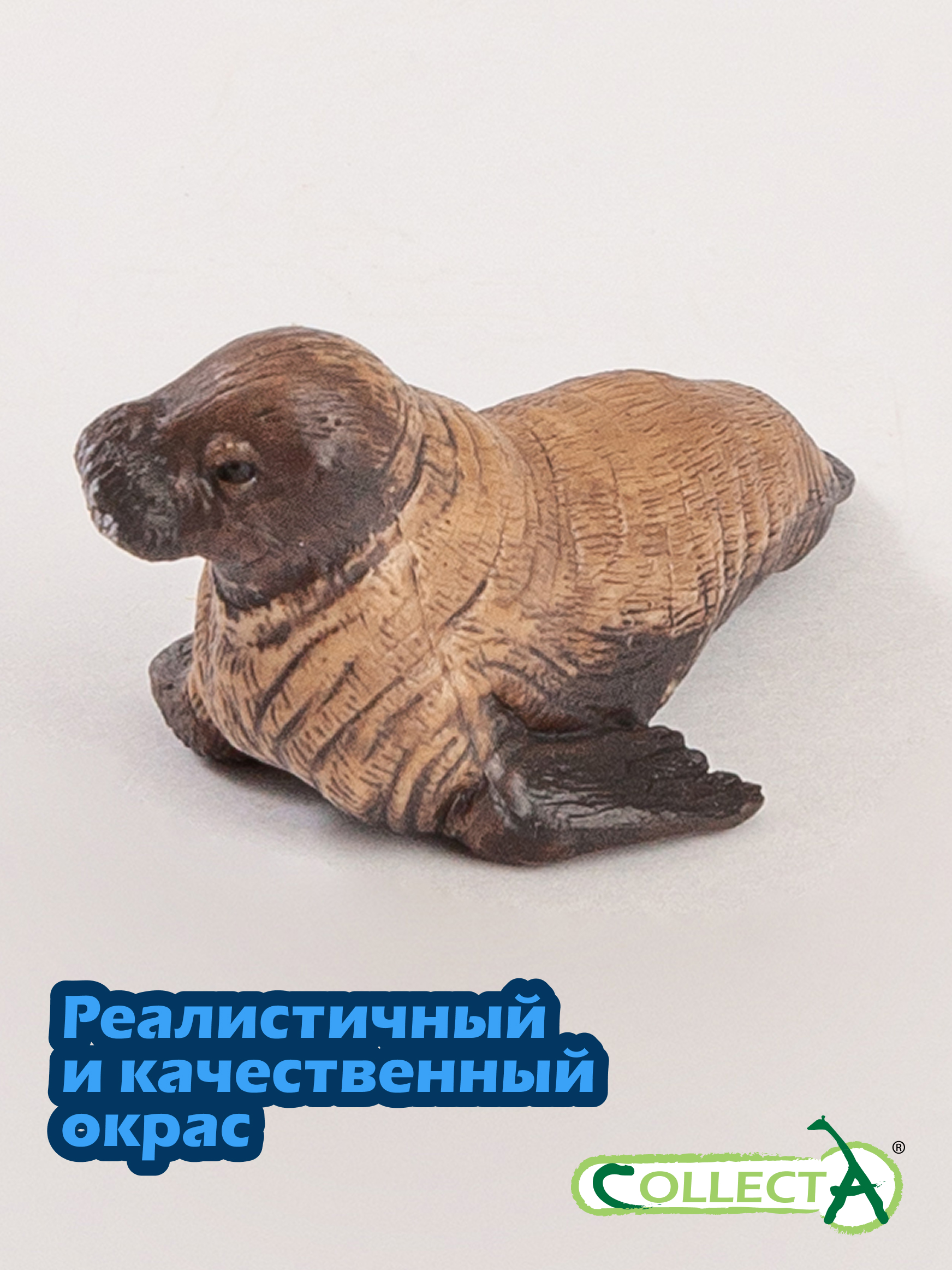 Фигурка Collecta Детёныш моржа - фото 4