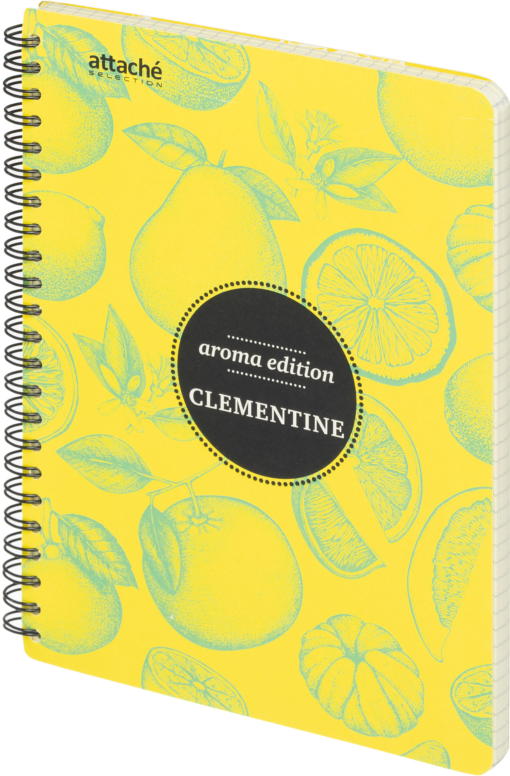 Блокнот Attache Selection 100 лист. - фото 5