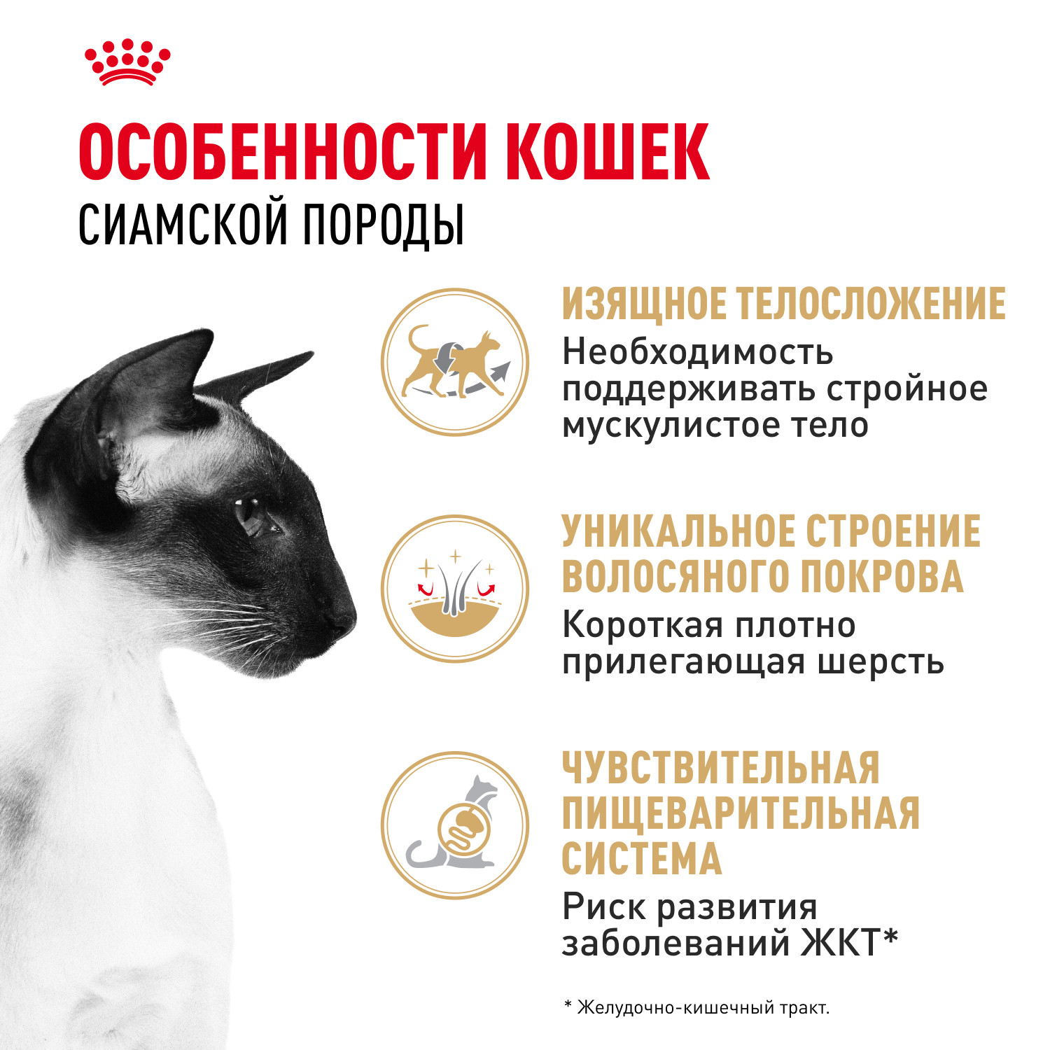 Корм сухой для кошек ROYAL CANIN Siamese 400г - фото 2