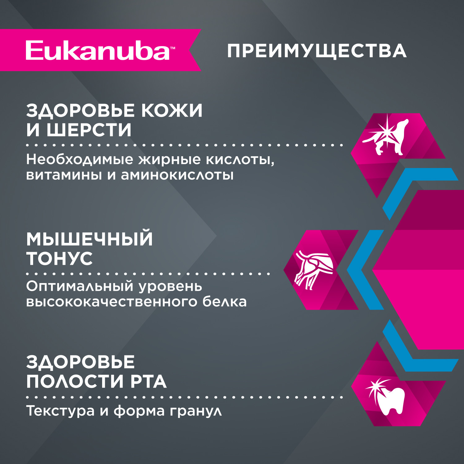 Корм для собак Eukanuba 1кг Dog DNAl с мясом птицы для йоркширских терьеров - фото 4