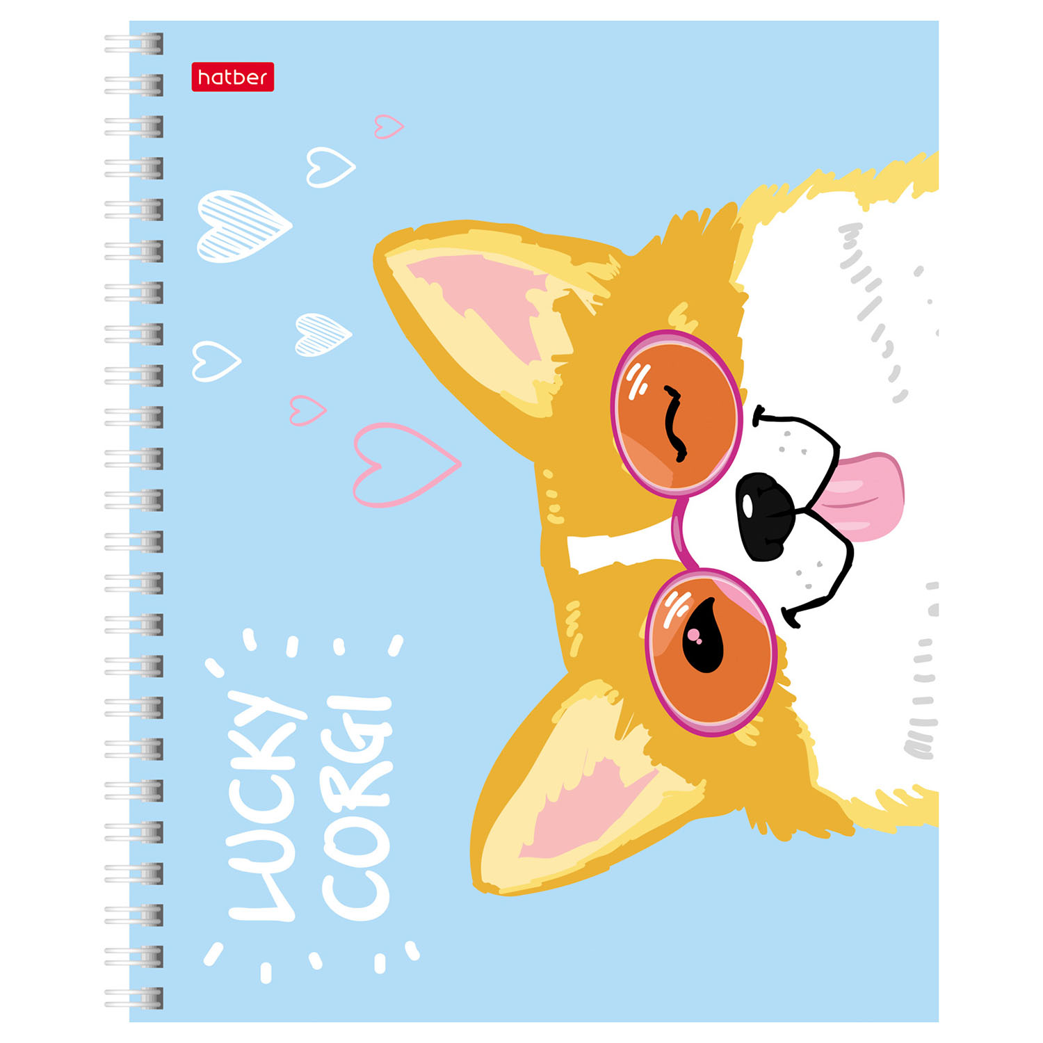 Общая тетрадь Hatber клетка 48 лист. в ассортименте - фото 4