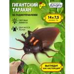Насекомое РУ AUTODRIVE