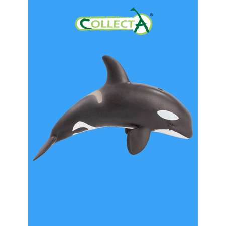 Фигурка Collecta Детёныш косатки
