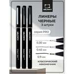 Ручка капиллярная Малевичъ 3 шт.