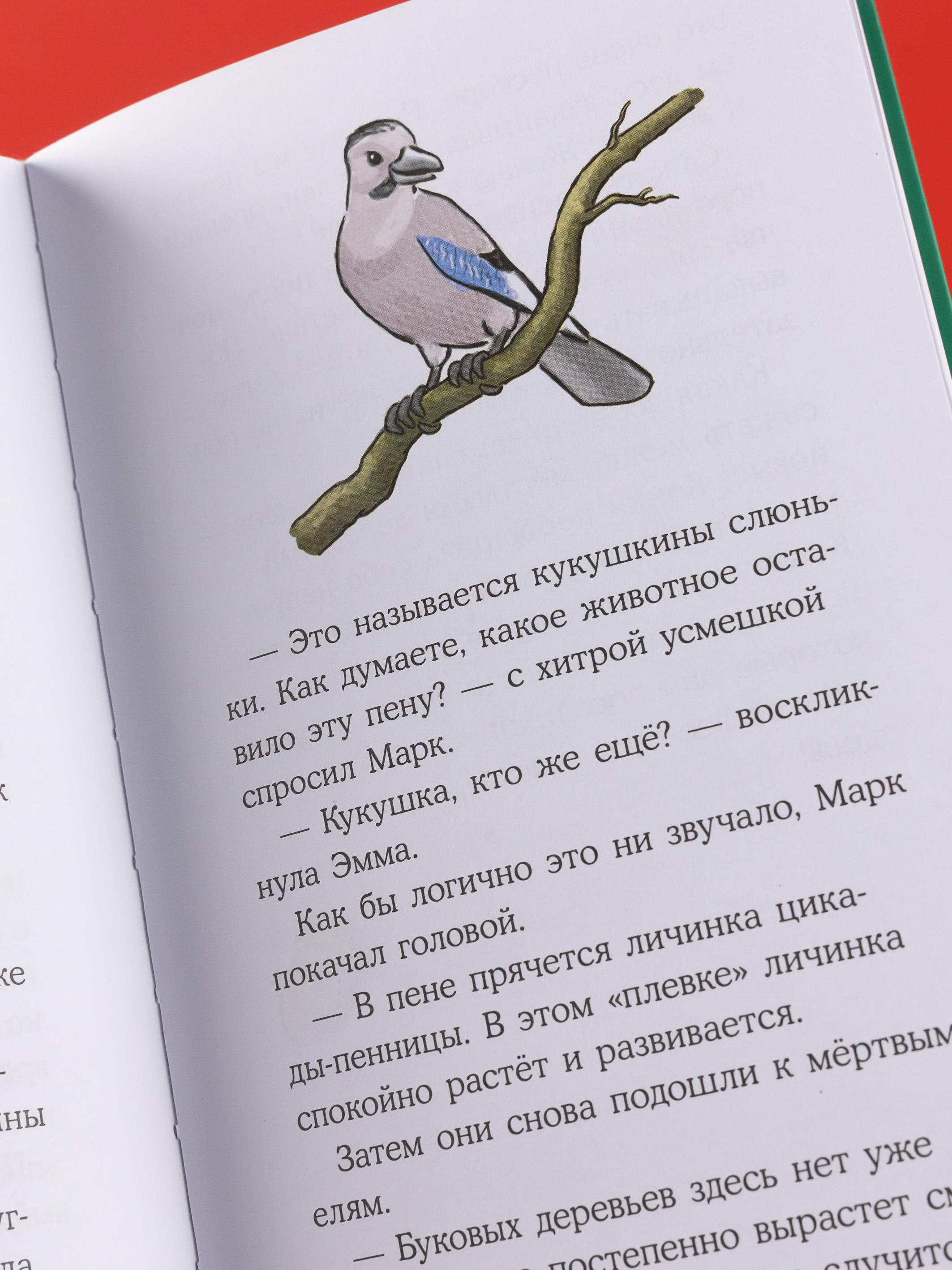 Книга Альпина. Дети Приключения Конни в ночном лесу - фото 7