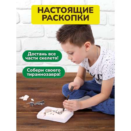 Набор для раскопок ON TIME