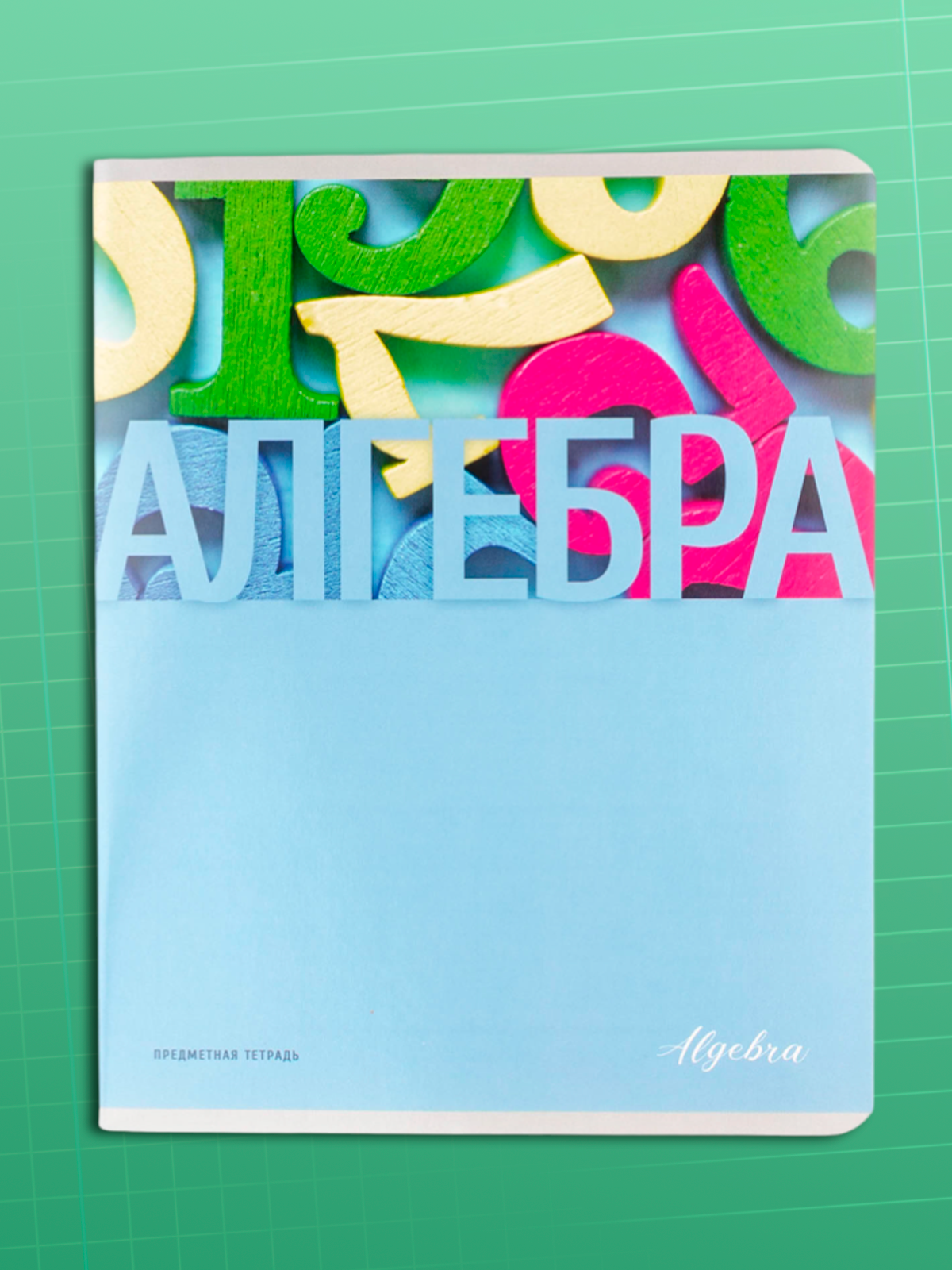 Тетрадь AXLER 48 лист. 12 шт. (Алгебра, Английский язык, География, Геометрия, Химия, История, Русский язык) - фото 16