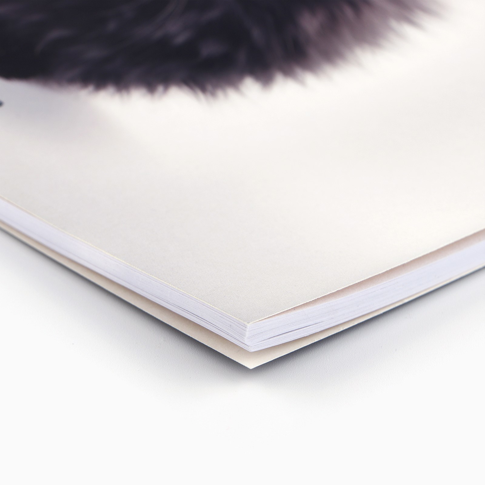 Альбом ArtFox STUDY - фото 2