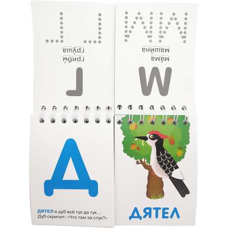 Карточки Искатель Азбука 31+31 шт