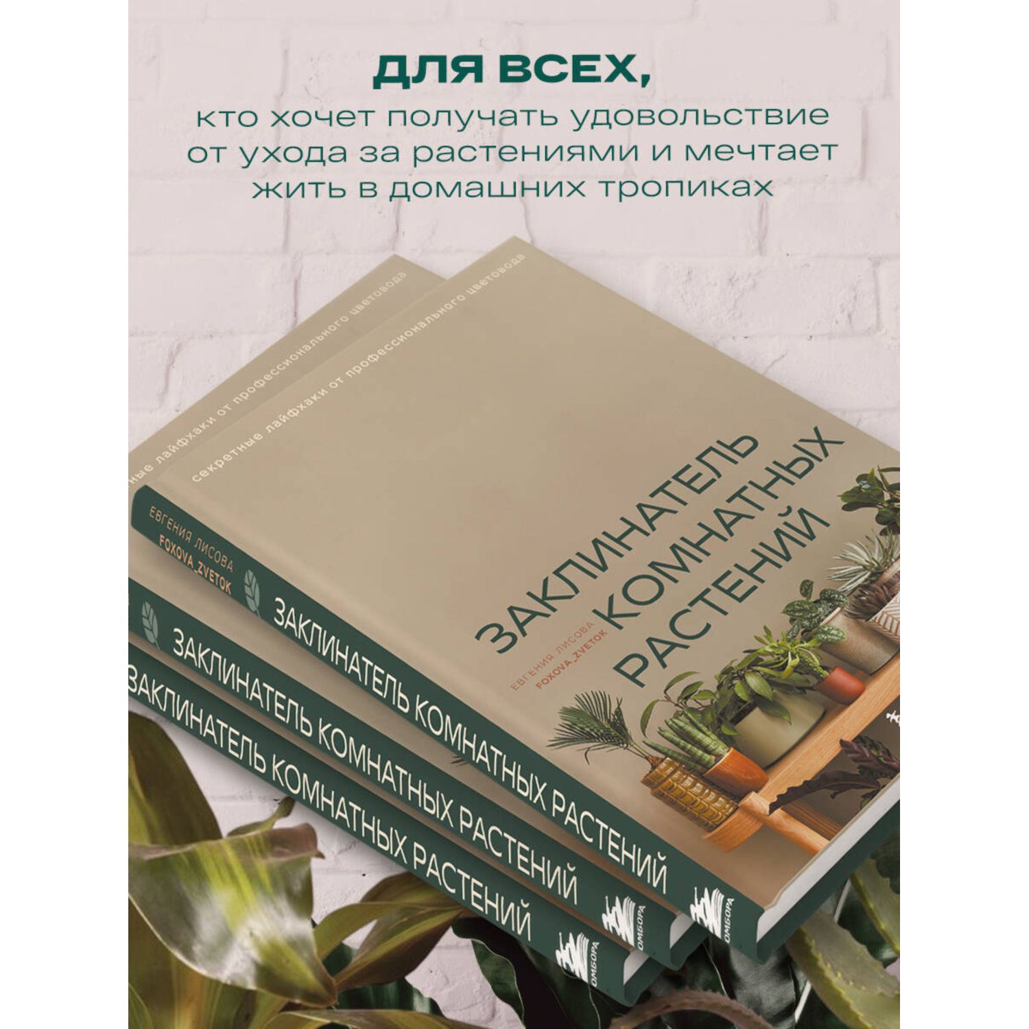 Книга БОМБОРА Заклинатель комнатных растений - фото 2