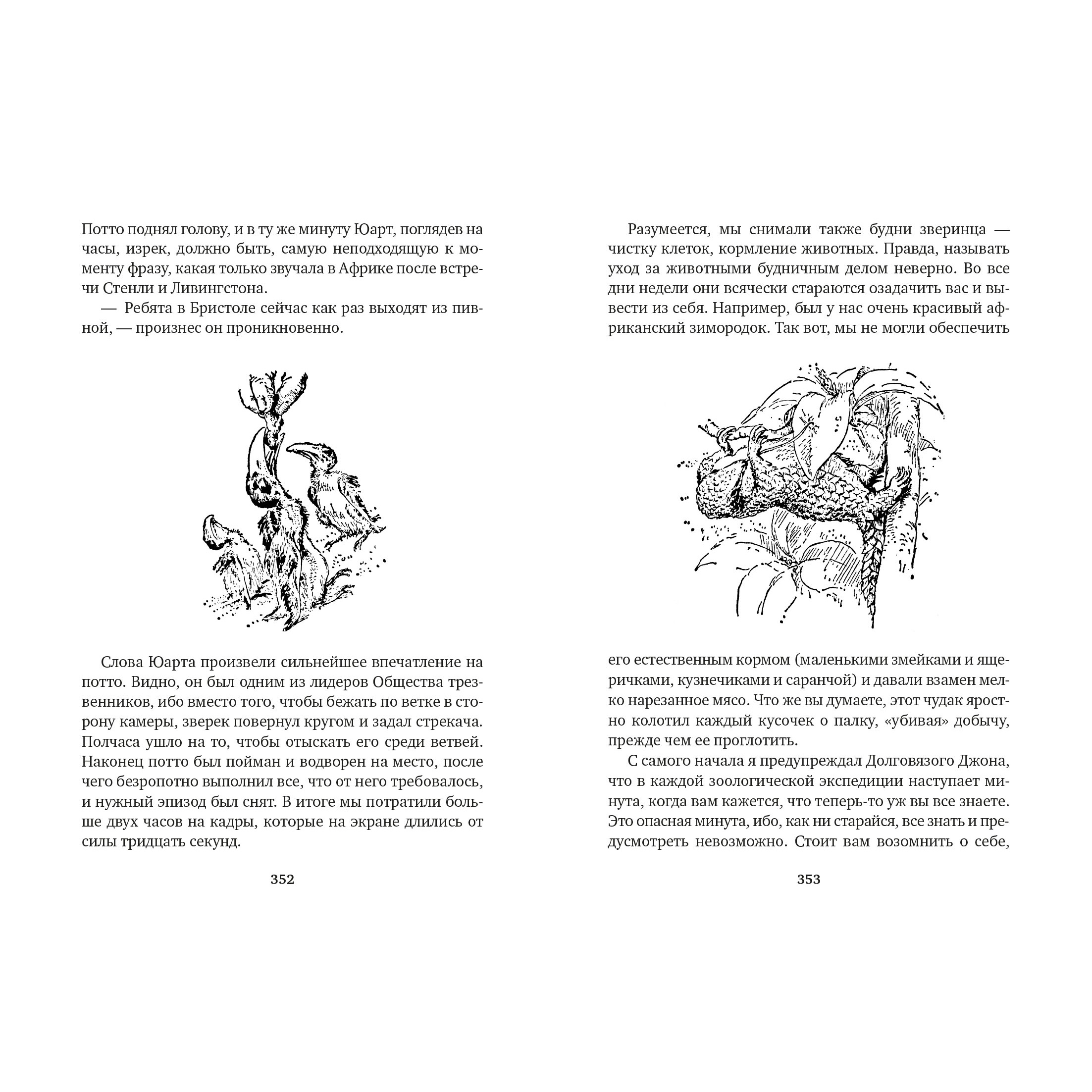 Книга АЗБУКА Путь кенгуренка. Поймайте мне колобуса - фото 8