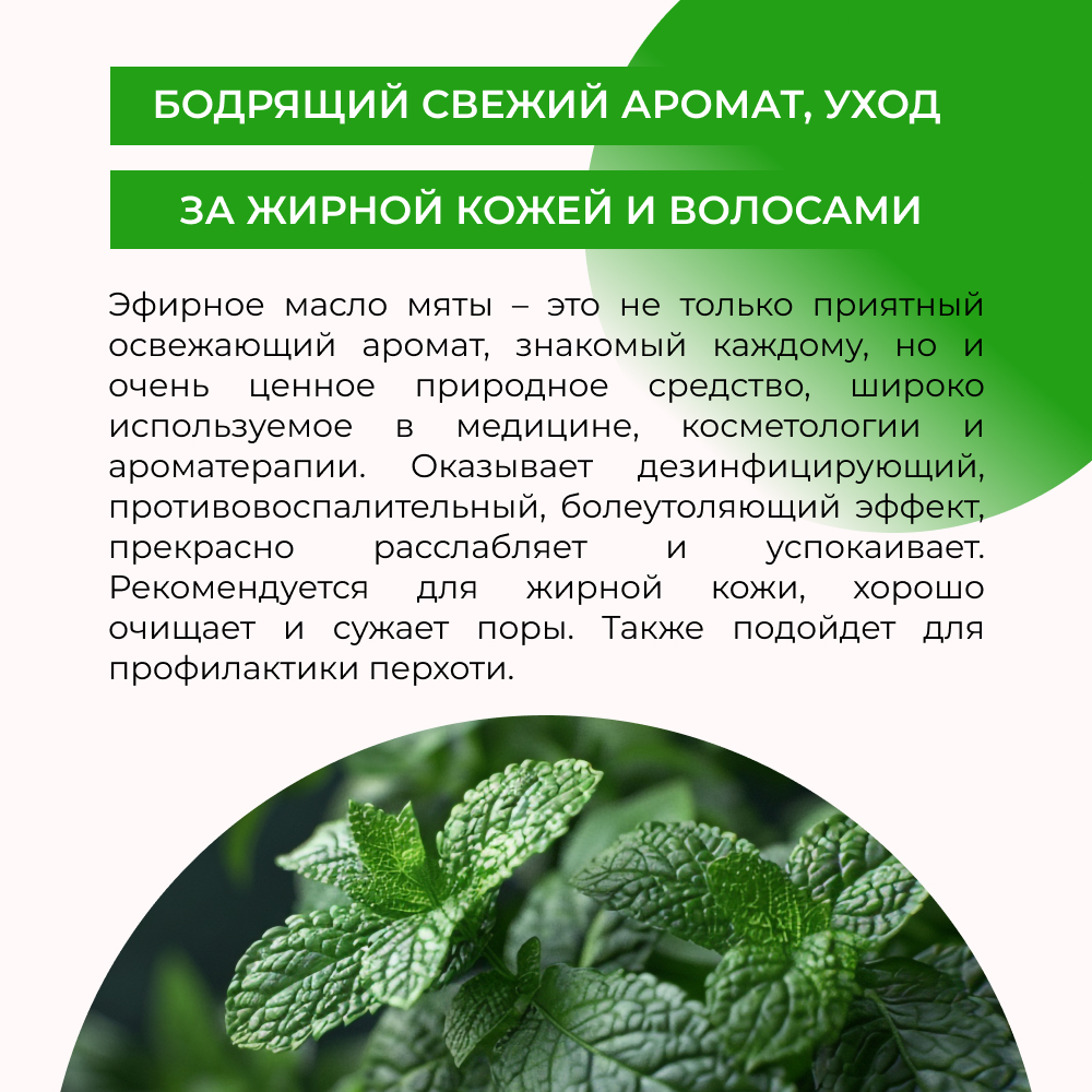 Масло Siberina Мята 8 мл - фото 5