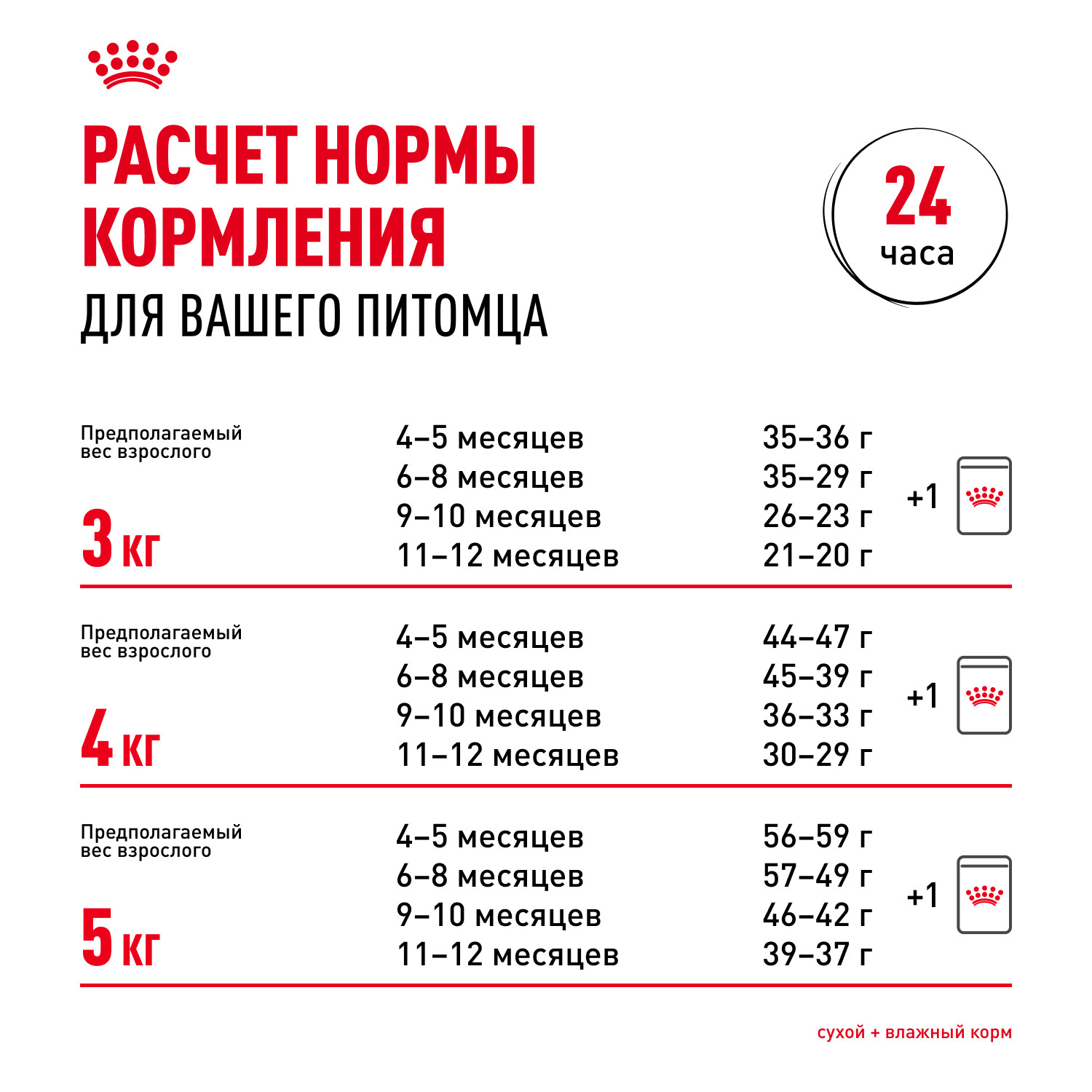Корм сухой для котят ROYAL CANIN British Shorthair 10кг породы британской короткошерстной - фото 9