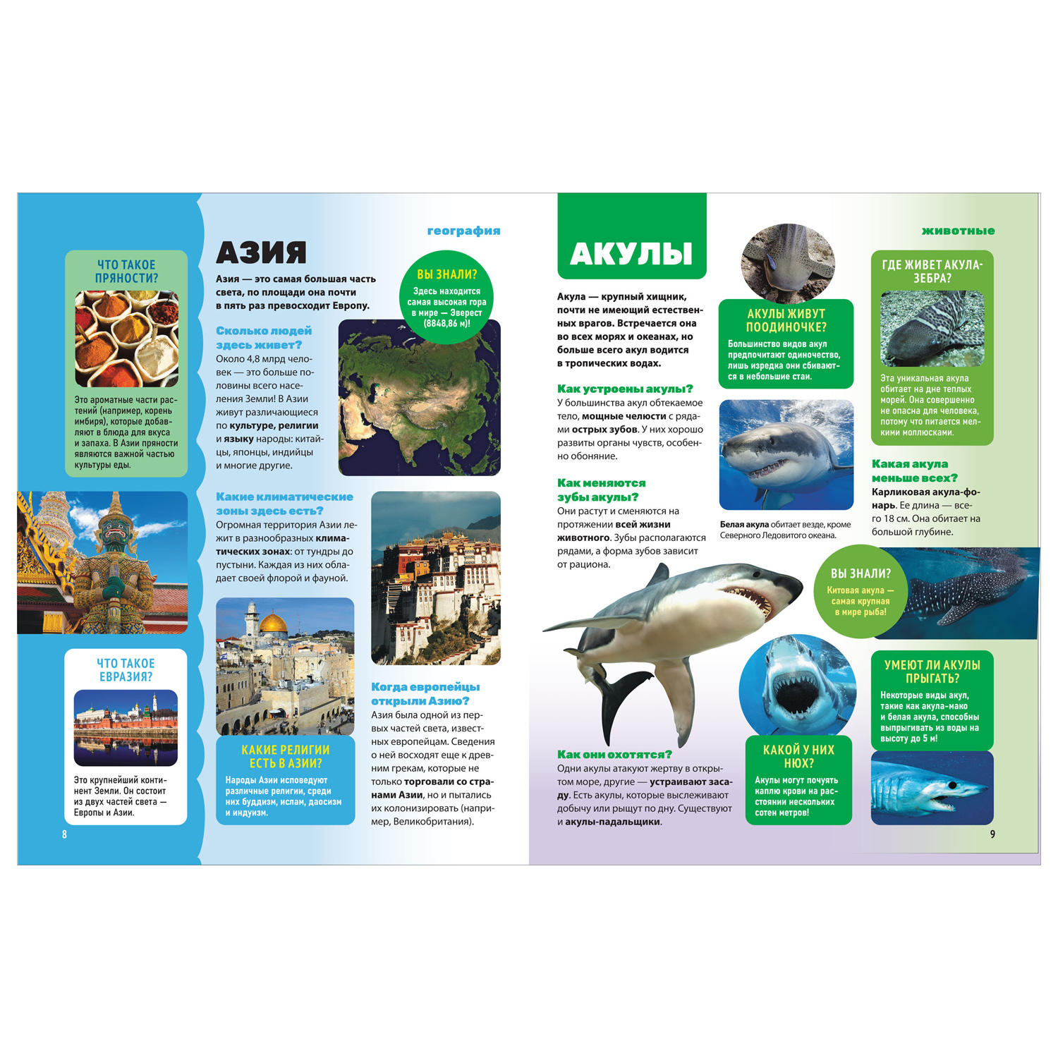 Книга Росмэн Энциклопедия обо всем 850 вопросов и ответов - фото 2