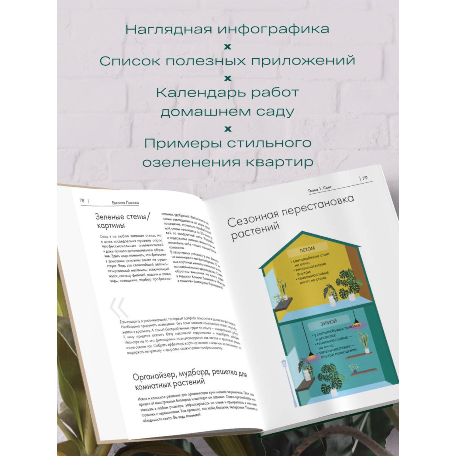 Книга БОМБОРА Заклинатель комнатных растений - фото 3