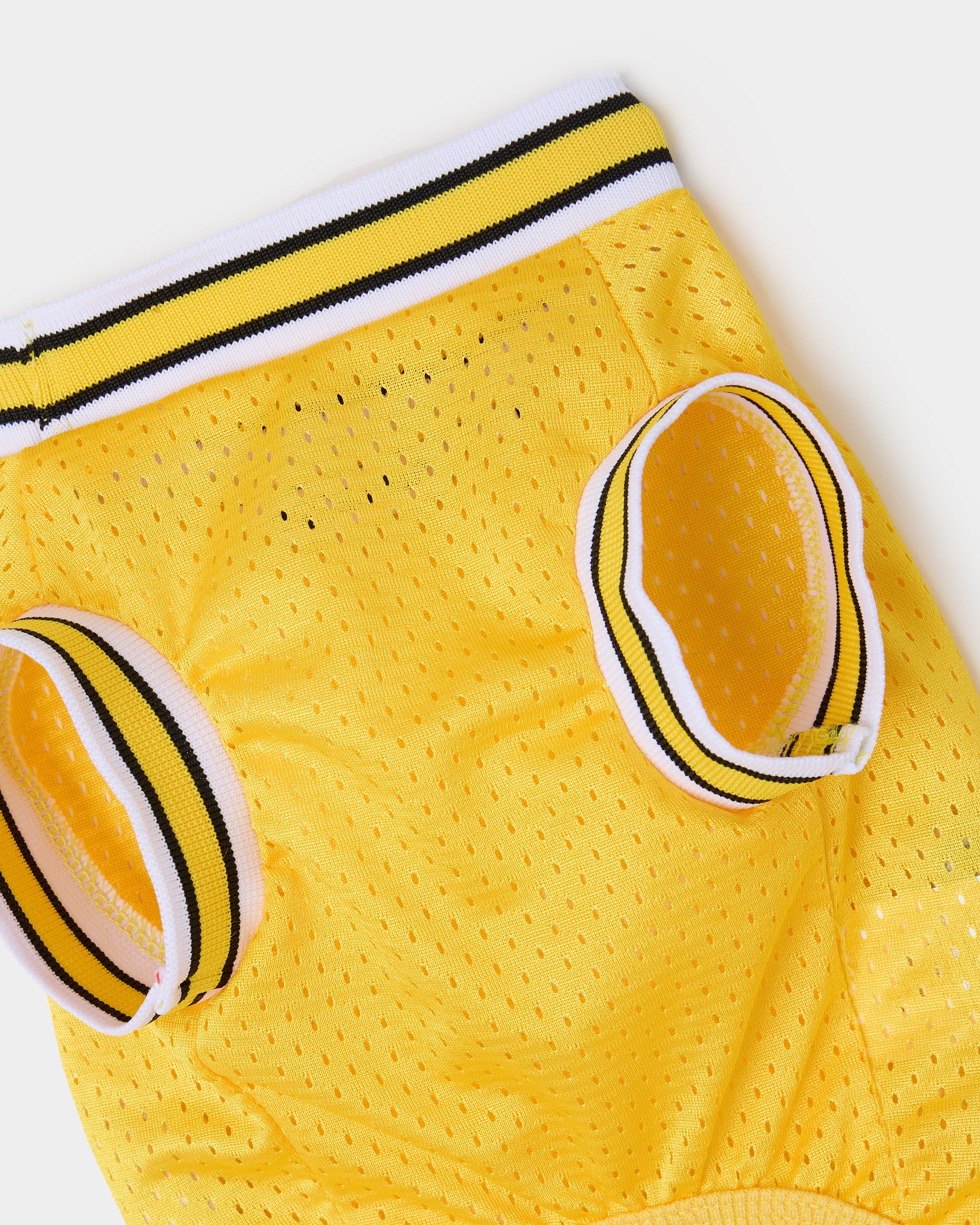 Футболка для собак и кошек Зоозавр - фото 5