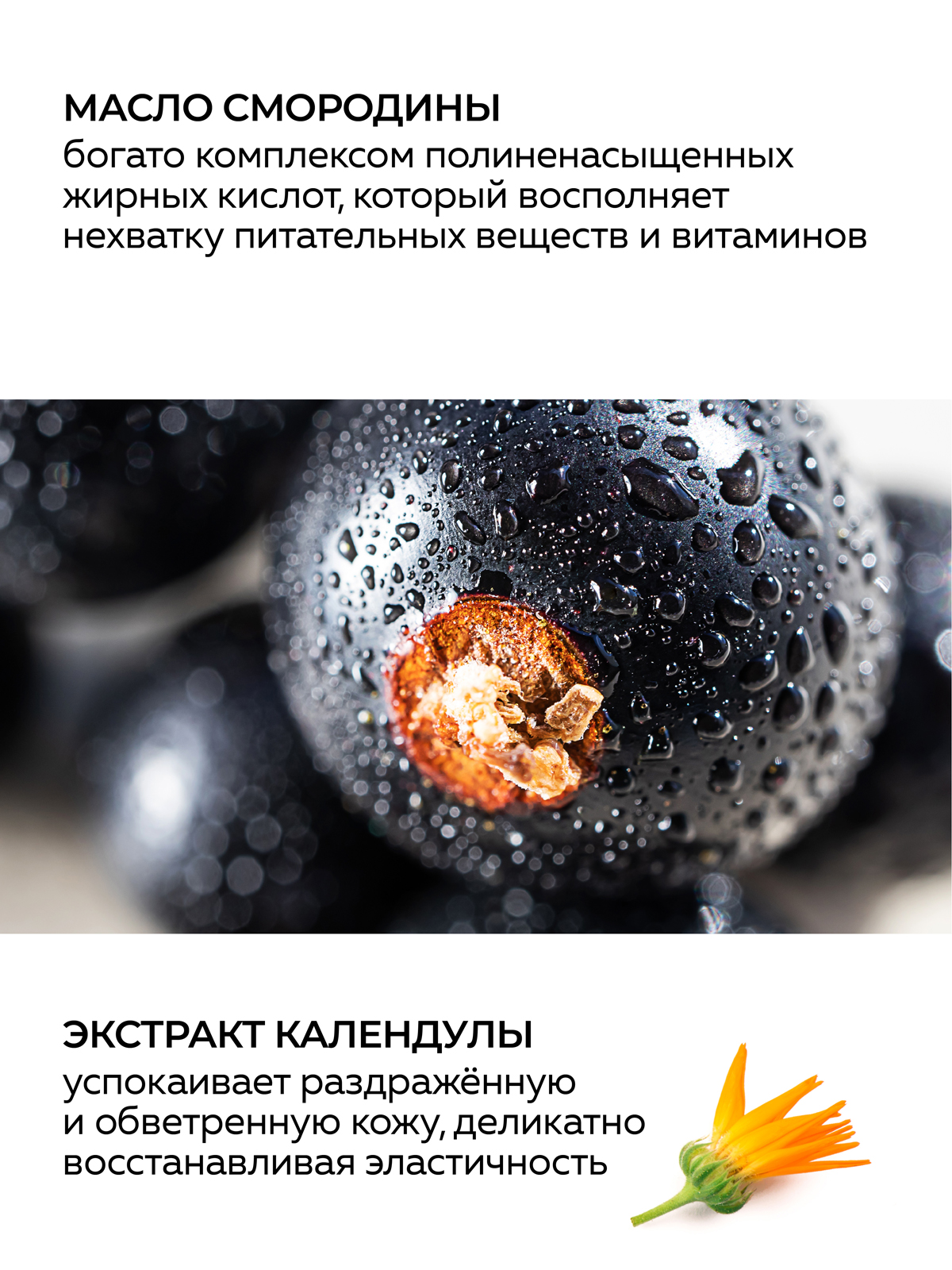 Крем Green Mama Календула и масло смородины 50 мл - фото 4