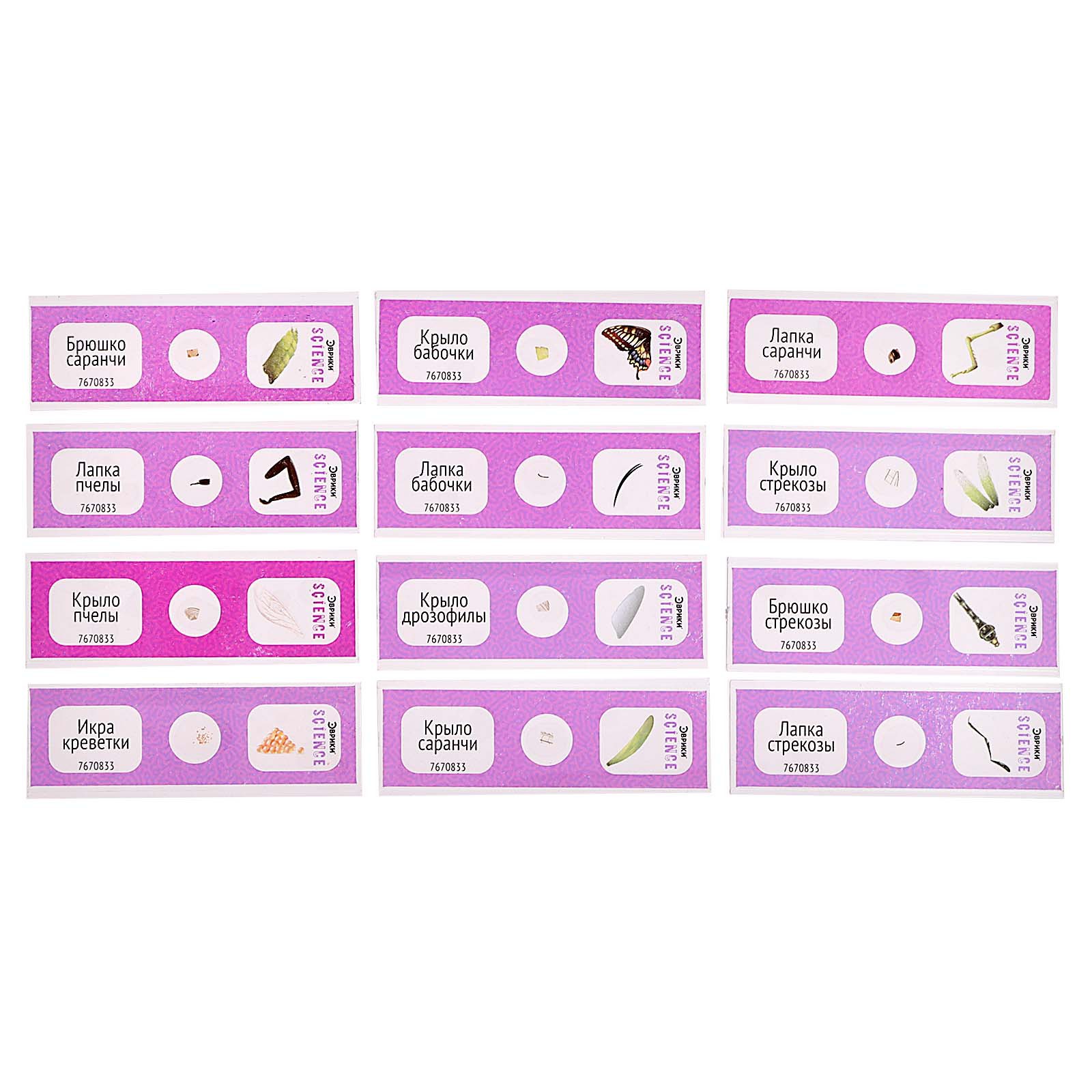 Набор для опытов Эврики - фото 5