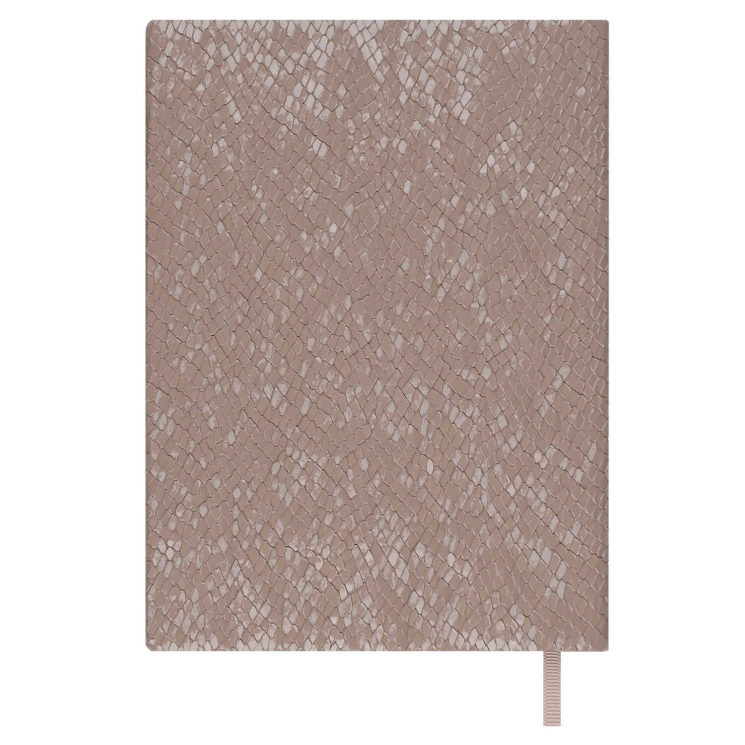 Ежедневник Феникс + ESCALADA 160 лист. - фото 8