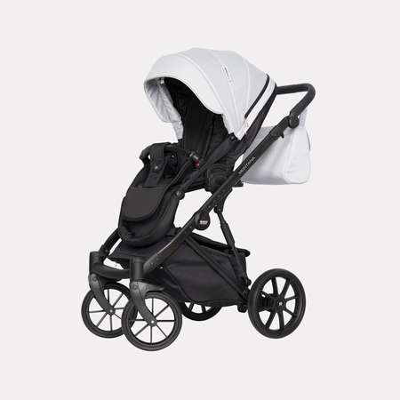 Коляска 2 в 1 Riko Basic