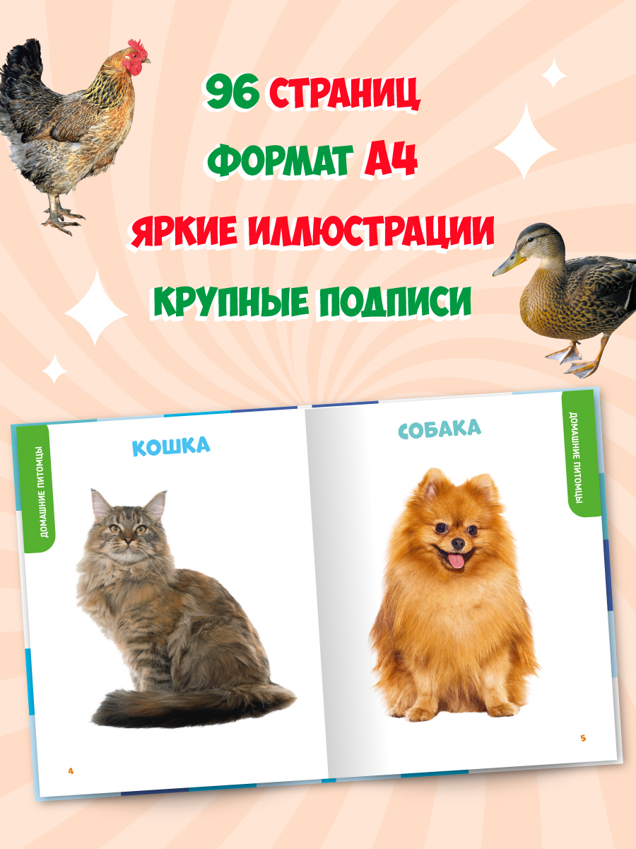 Книга Проф-Пресс Главная книга малыша. Животные нашей планеты - фото 3