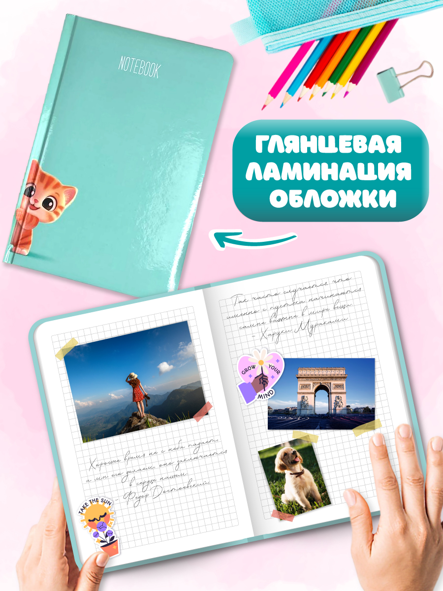 Блокнот Проф-Пресс Котёнок. в клетку А5 48 лист. - фото 3